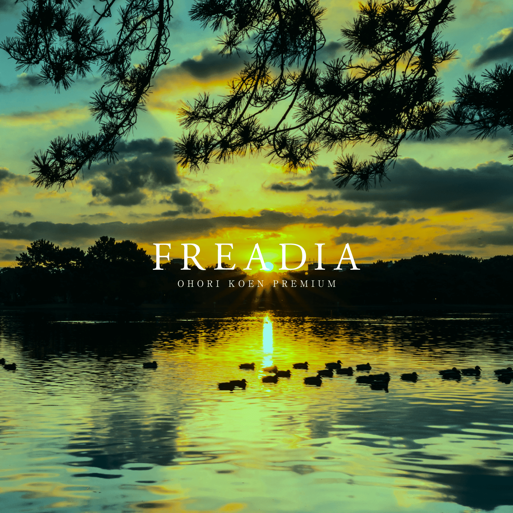 フリーディア大濠公園レジデンス